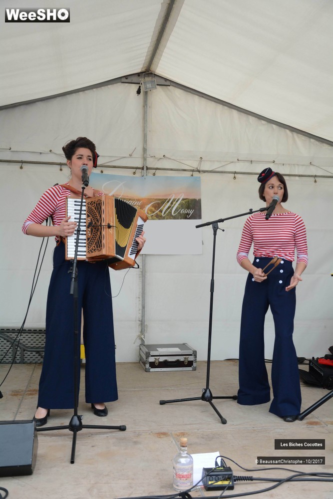 9/42 photos du spectacle Les Biches Cocottes