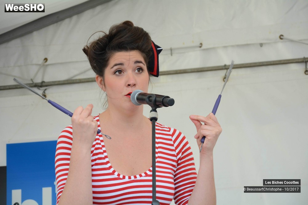 14/42 photos du spectacle Les Biches Cocottes