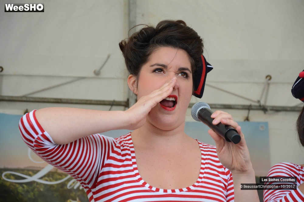 15/42 photos du spectacle Les Biches Cocottes