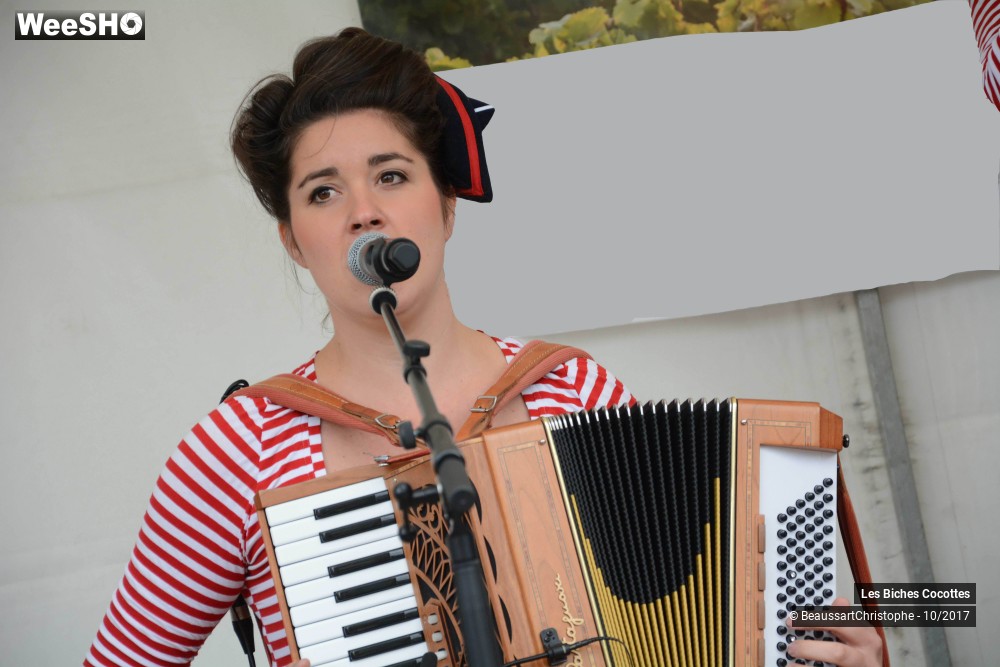 17/42 photos du spectacle Les Biches Cocottes