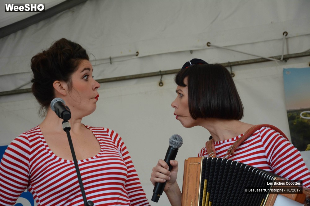 20/42 photos du spectacle Les Biches Cocottes