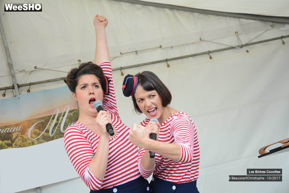 22/42 photos du spectacle Les Biches Cocottes