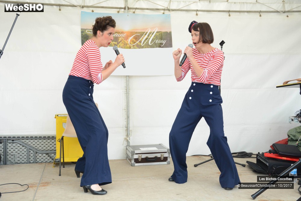 24/42 photos du spectacle Les Biches Cocottes