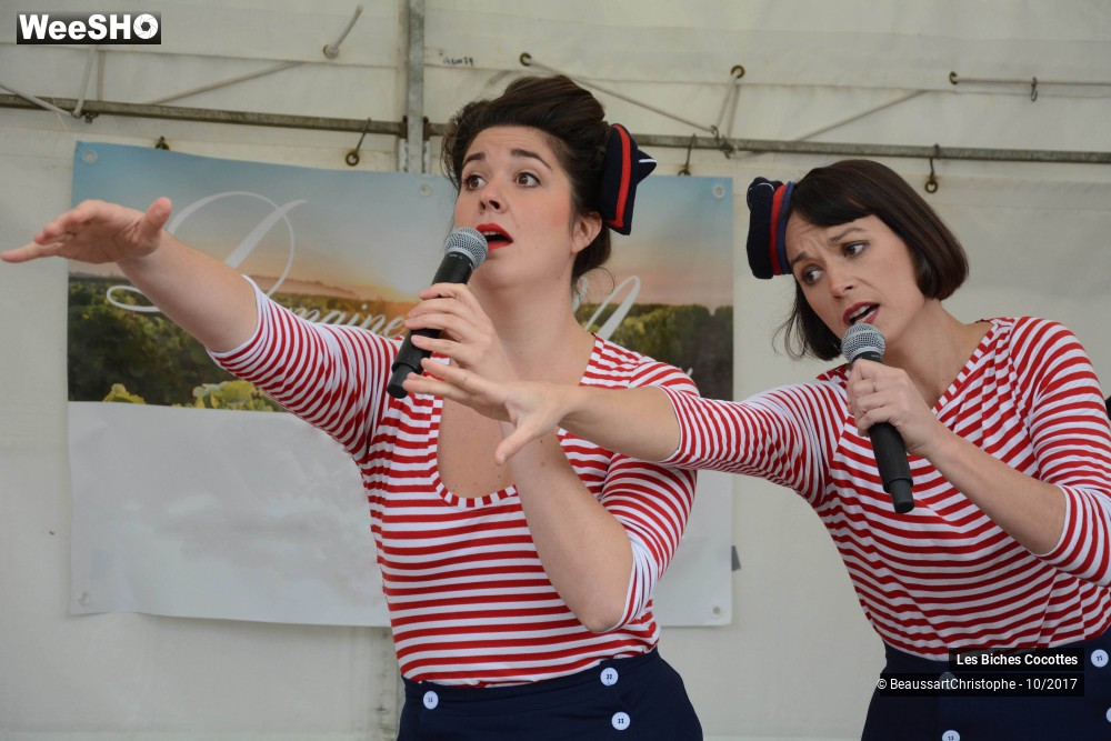 25/42 photos du spectacle Les Biches Cocottes