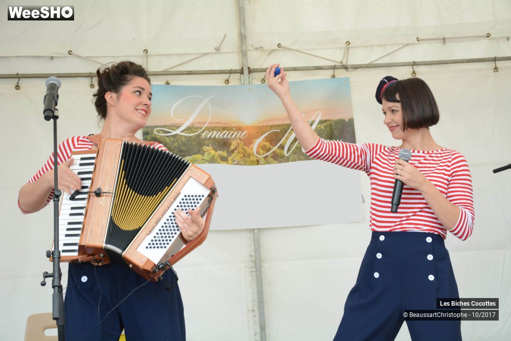 26/42 photos du spectacle Les Biches Cocottes