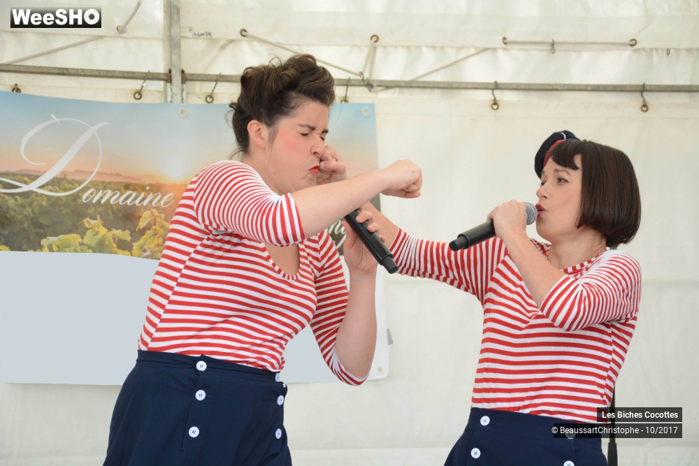 28/42 photos du spectacle Les Biches Cocottes