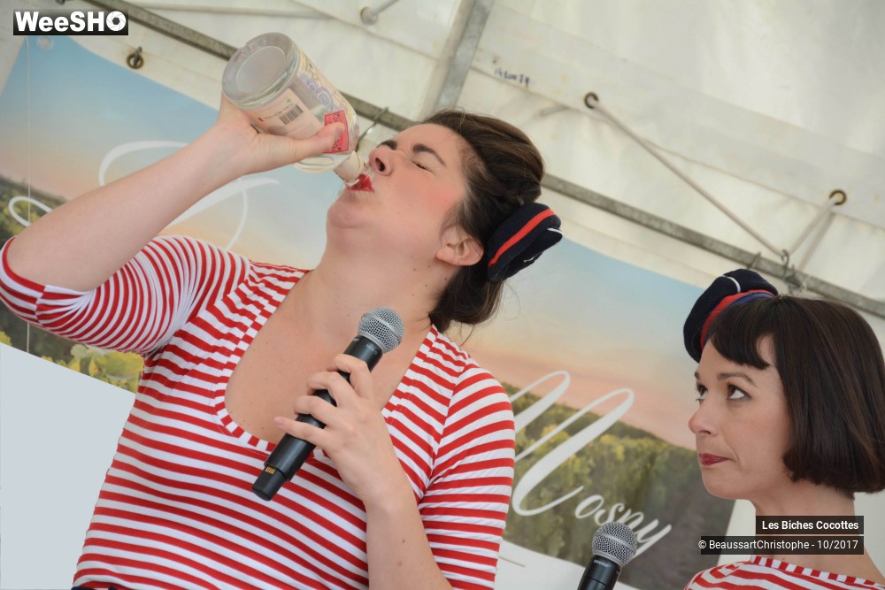 29/42 photos du spectacle Les Biches Cocottes