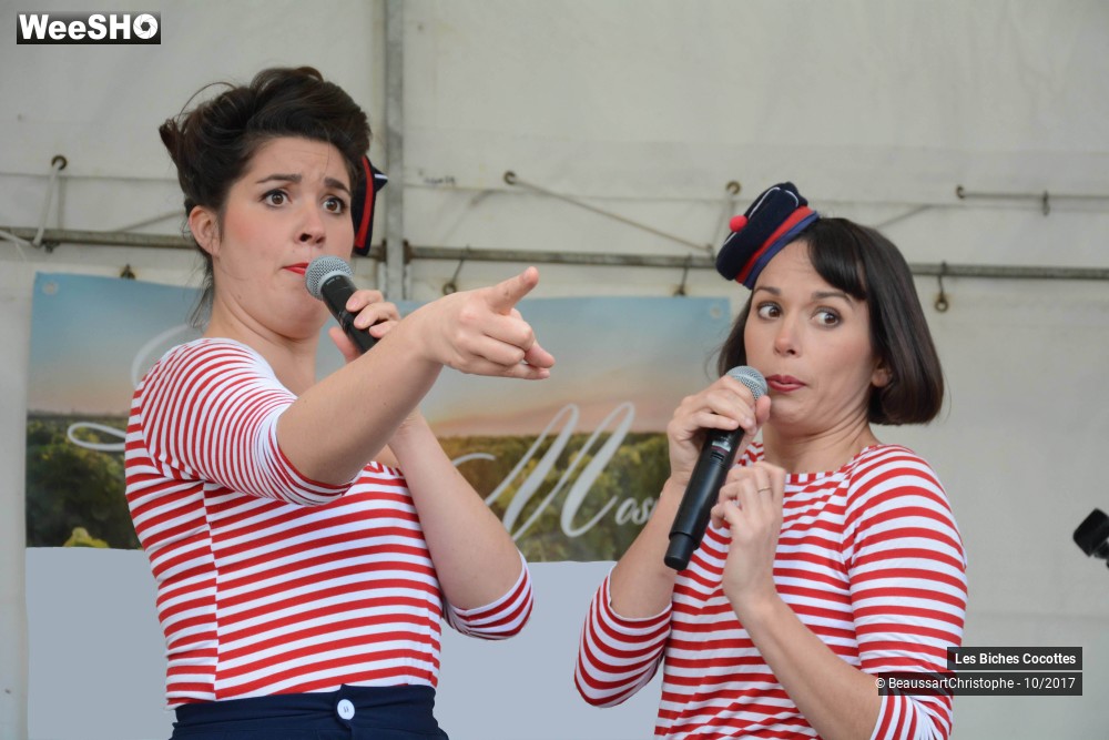 37/42 photos du spectacle Les Biches Cocottes
