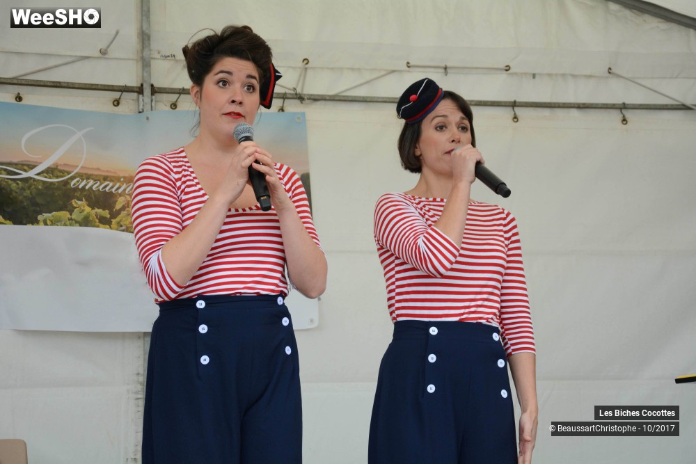 38/42 photos du spectacle Les Biches Cocottes