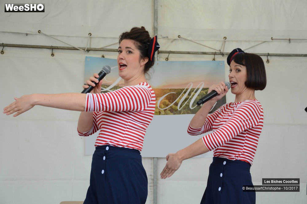 41/42 photos du spectacle Les Biches Cocottes