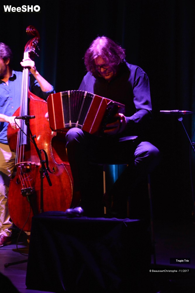5/38 photos du spectacle Trupin Trio