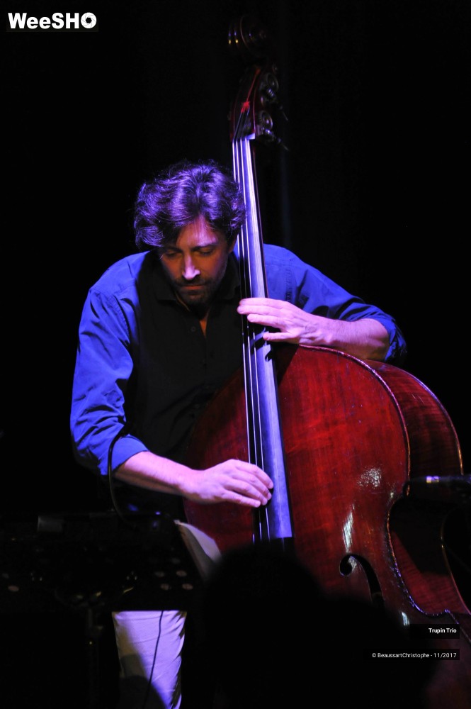 7/38 photos du spectacle Trupin Trio