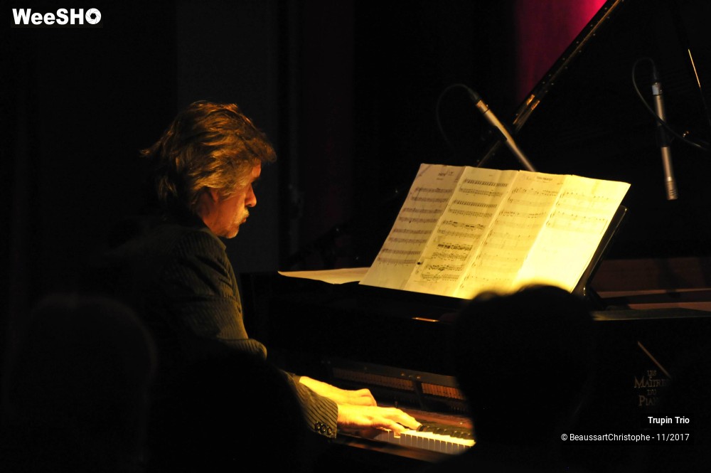 14/38 photos du spectacle Trupin Trio