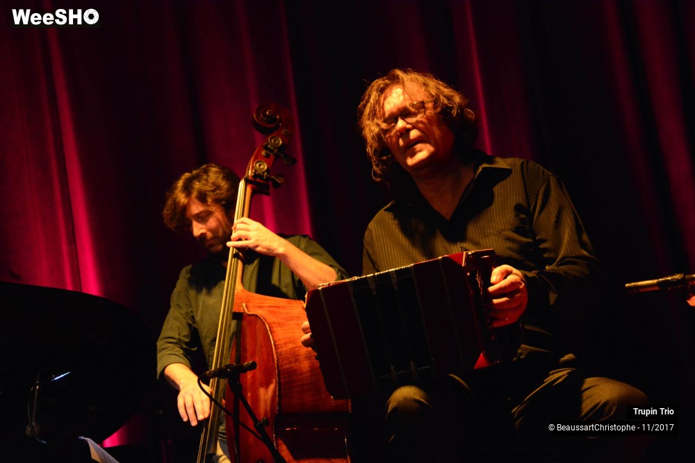 16/38 photos du spectacle Trupin Trio