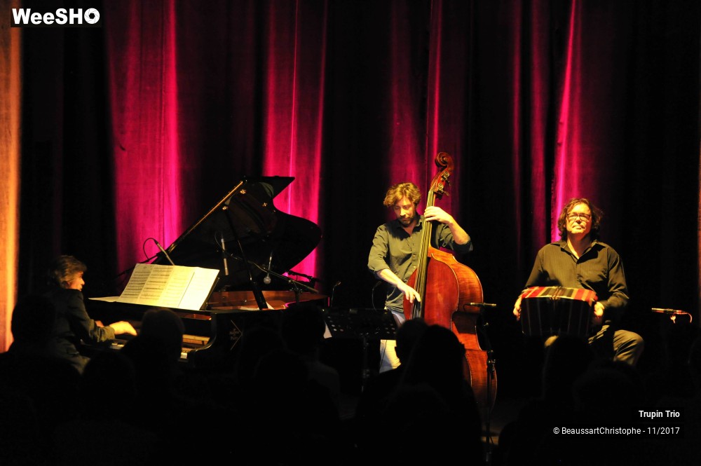 18/38 photos du spectacle Trupin Trio