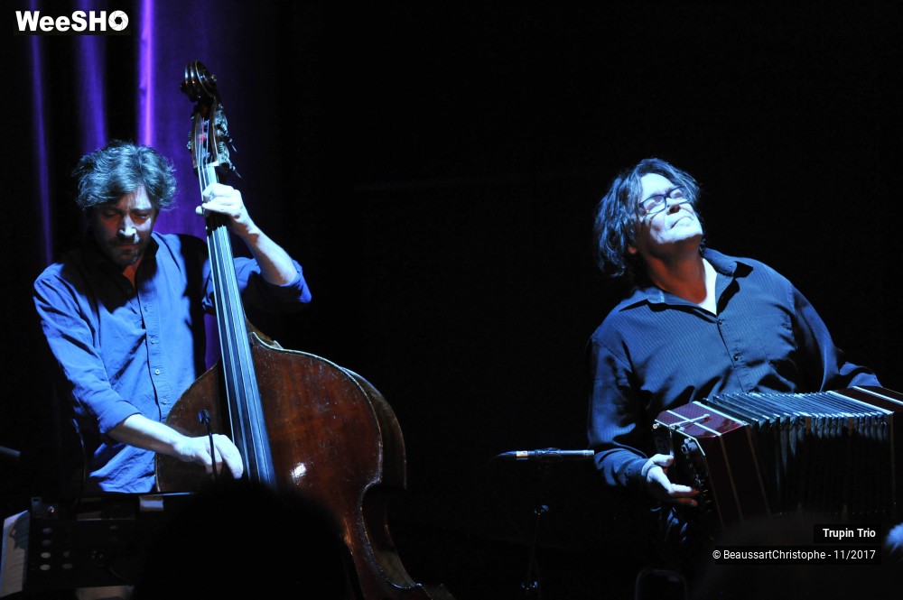 19/38 photos du spectacle Trupin Trio