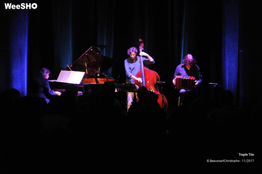 21/38 photos du spectacle Trupin Trio