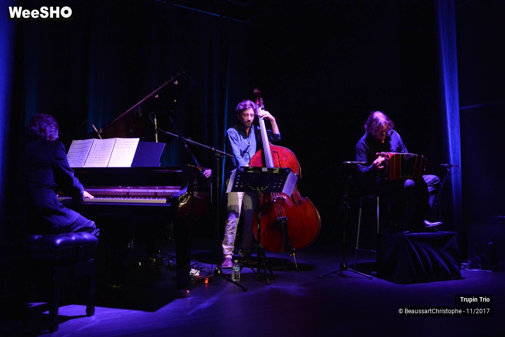 22/38 photos du spectacle Trupin Trio