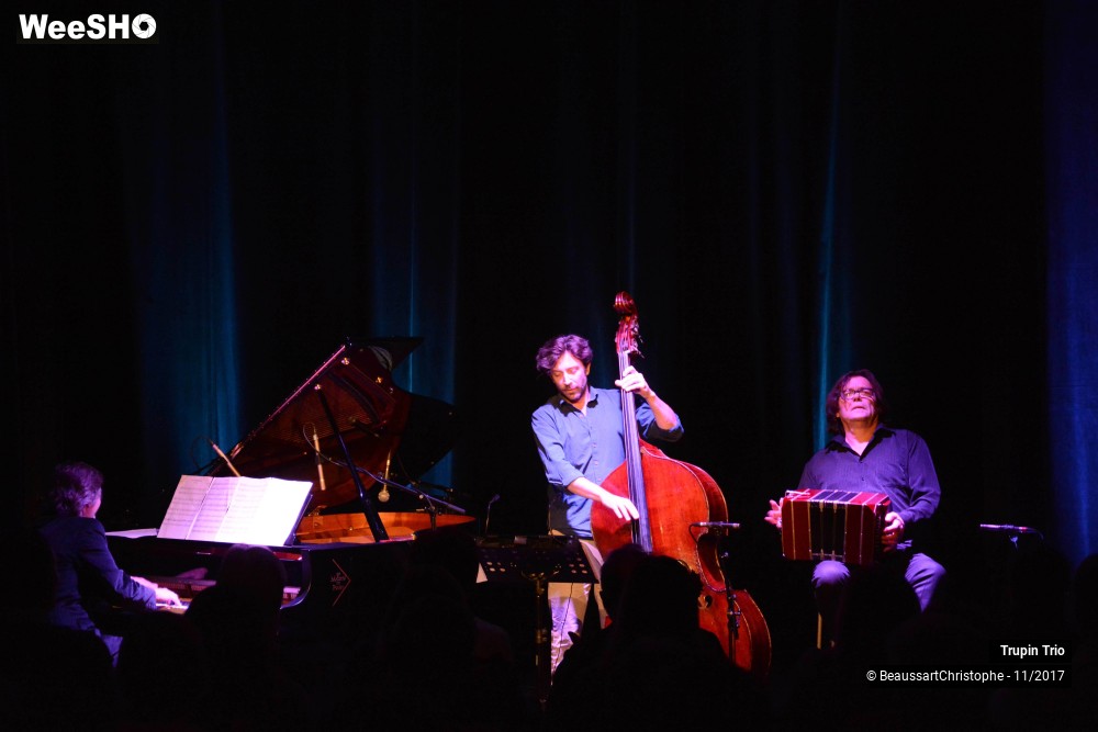 23/38 photos du spectacle Trupin Trio