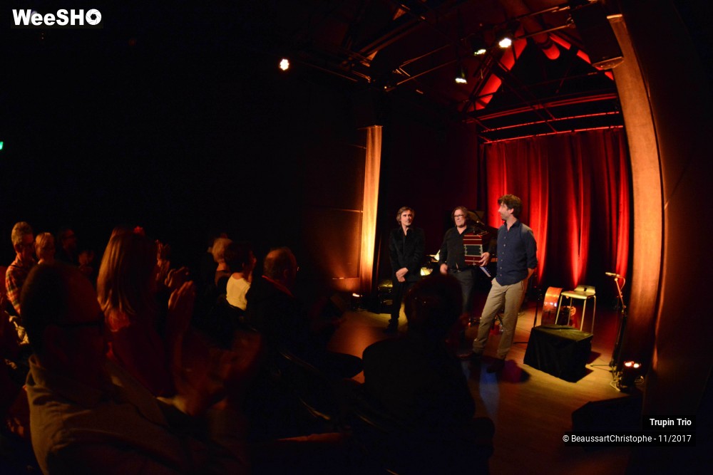 24/38 photos du spectacle Trupin Trio
