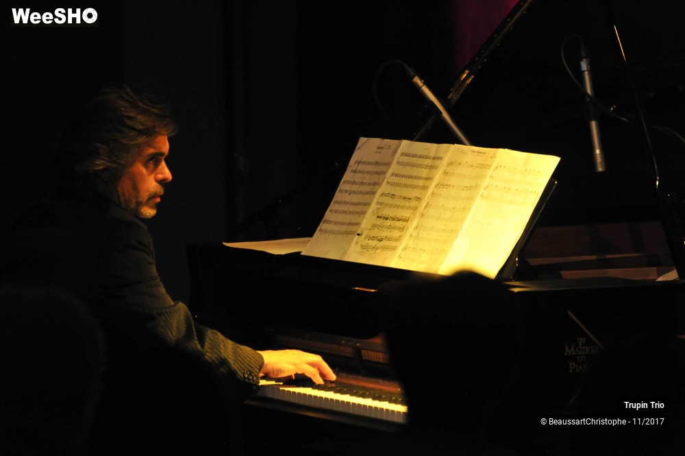 30/38 photos du spectacle Trupin Trio