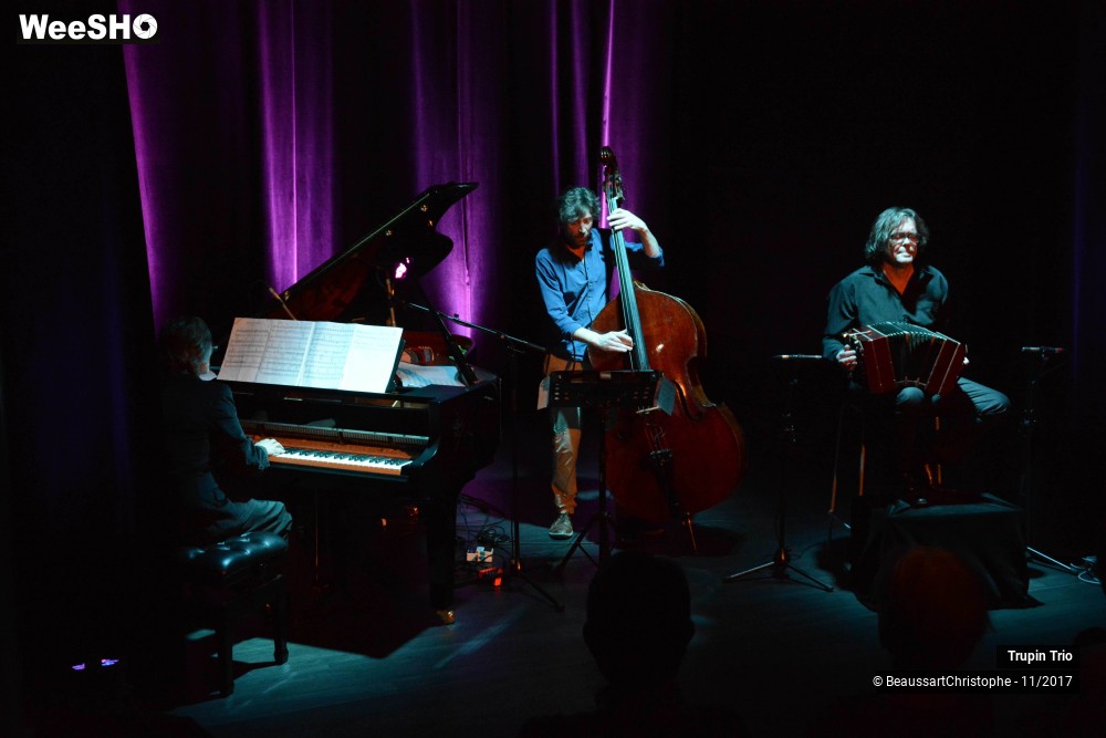 32/38 photos du spectacle Trupin Trio