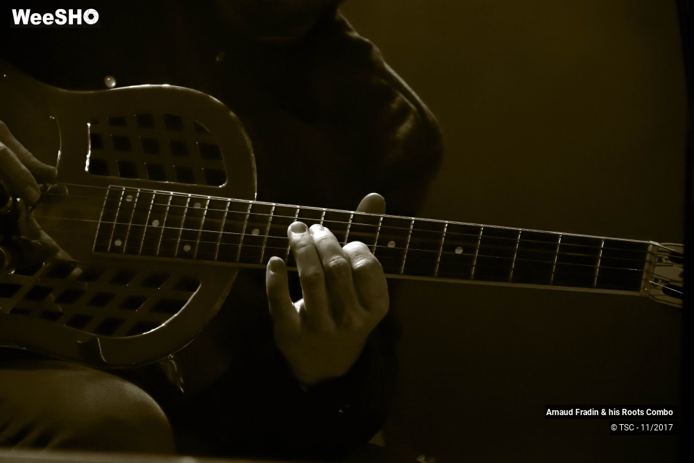 4/15 photos du spectacle Arnaud Fradin & his Roots Combo