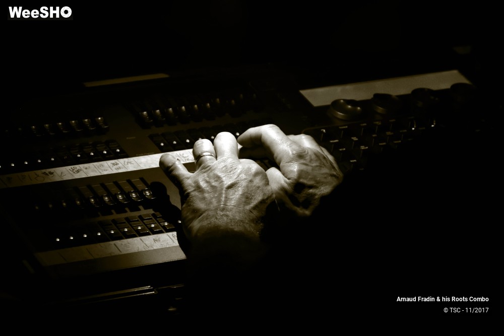 5/15 photos du spectacle Arnaud Fradin & his Roots Combo
