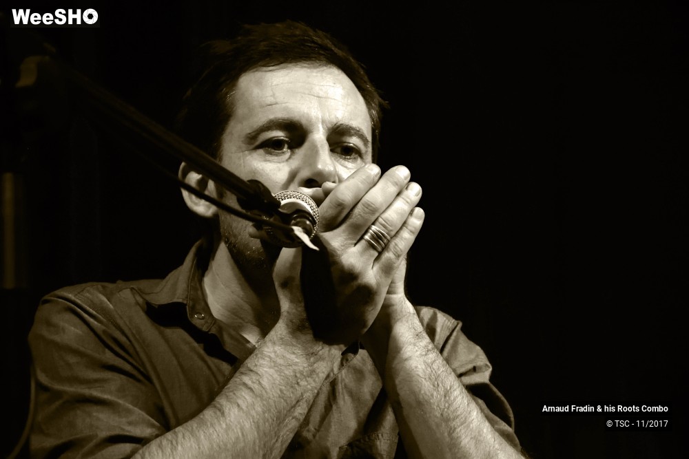 11/15 photos du spectacle Arnaud Fradin & his Roots Combo