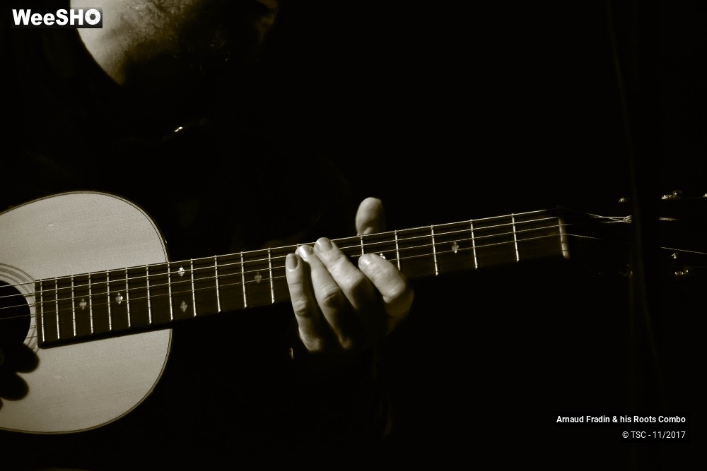 14/15 photos du spectacle Arnaud Fradin & his Roots Combo