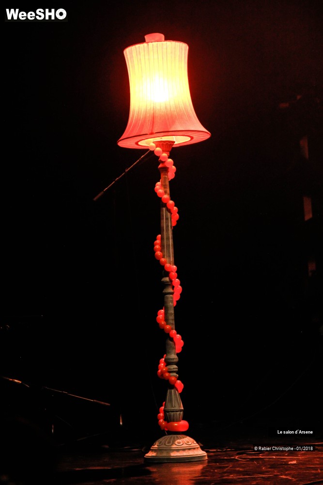 5/25 photos du spectacle Le salon d'Arsene