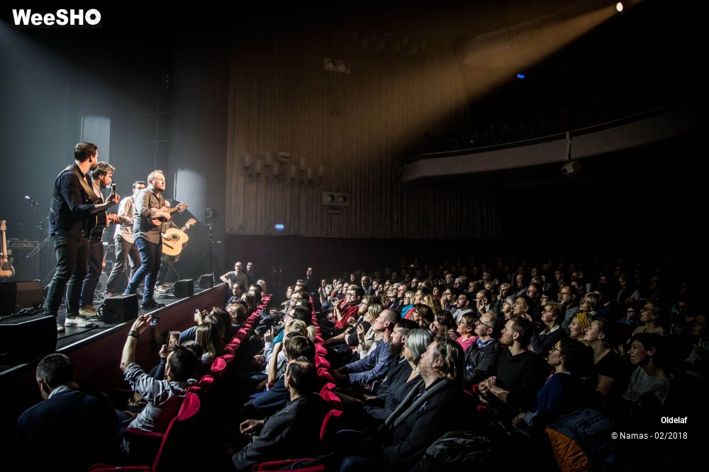 15/45 photos du spectacle Oldelaf