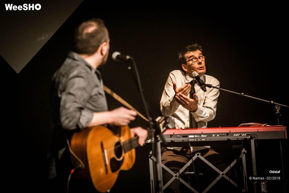 18/45 photos du spectacle Oldelaf