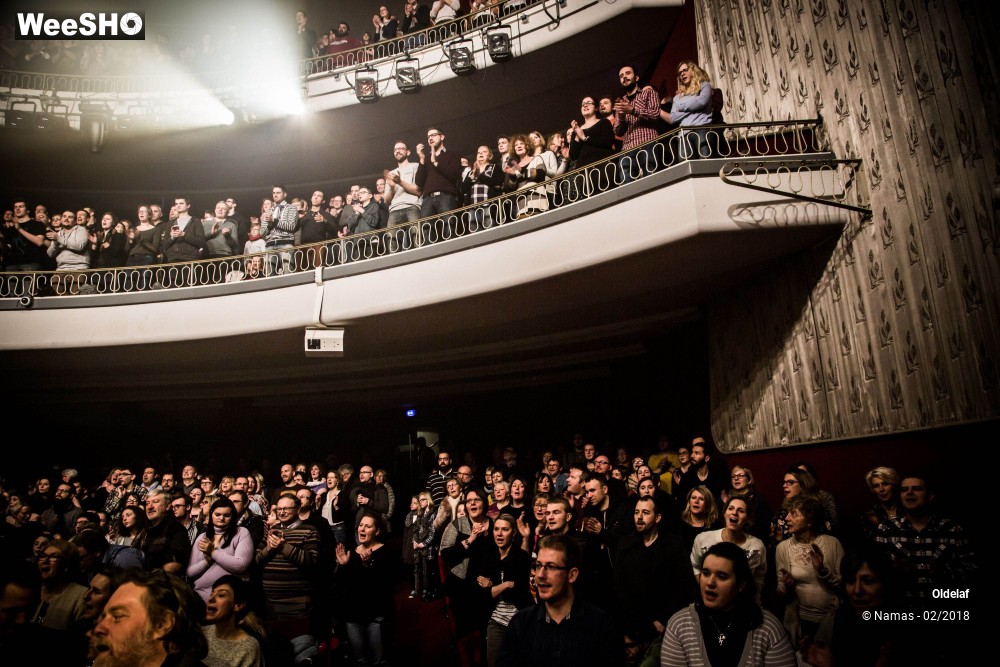 20/45 photos du spectacle Oldelaf
