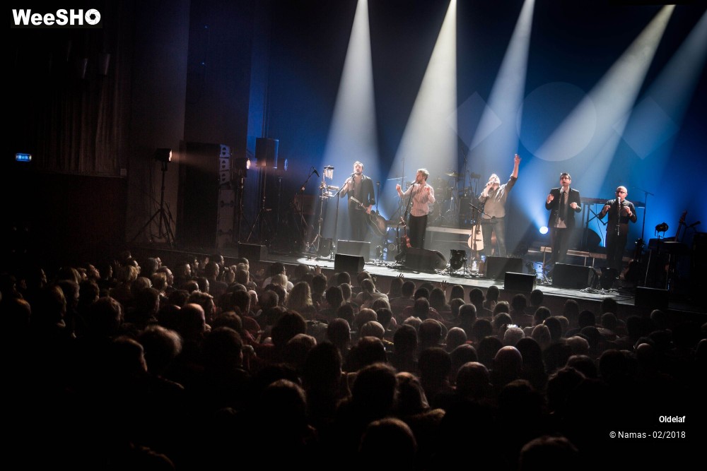 37/45 photos du spectacle Oldelaf