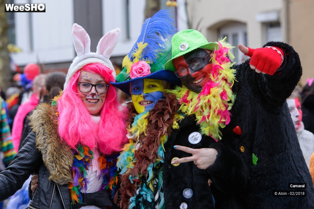 2/34 photos du spectacle Carnaval de Dunkerque 2018