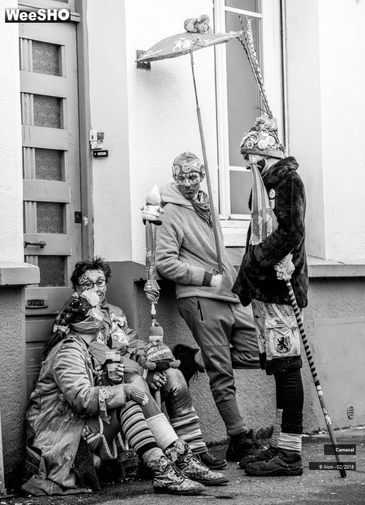 4/34 photos du spectacle Carnaval de Dunkerque 2018