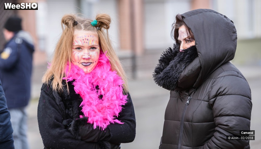7/34 photos du spectacle Carnaval de Dunkerque 2018