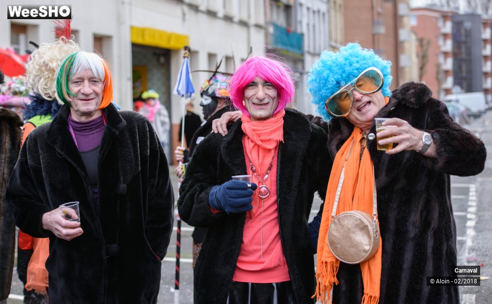 8/34 photos du spectacle Carnaval de Dunkerque 2018
