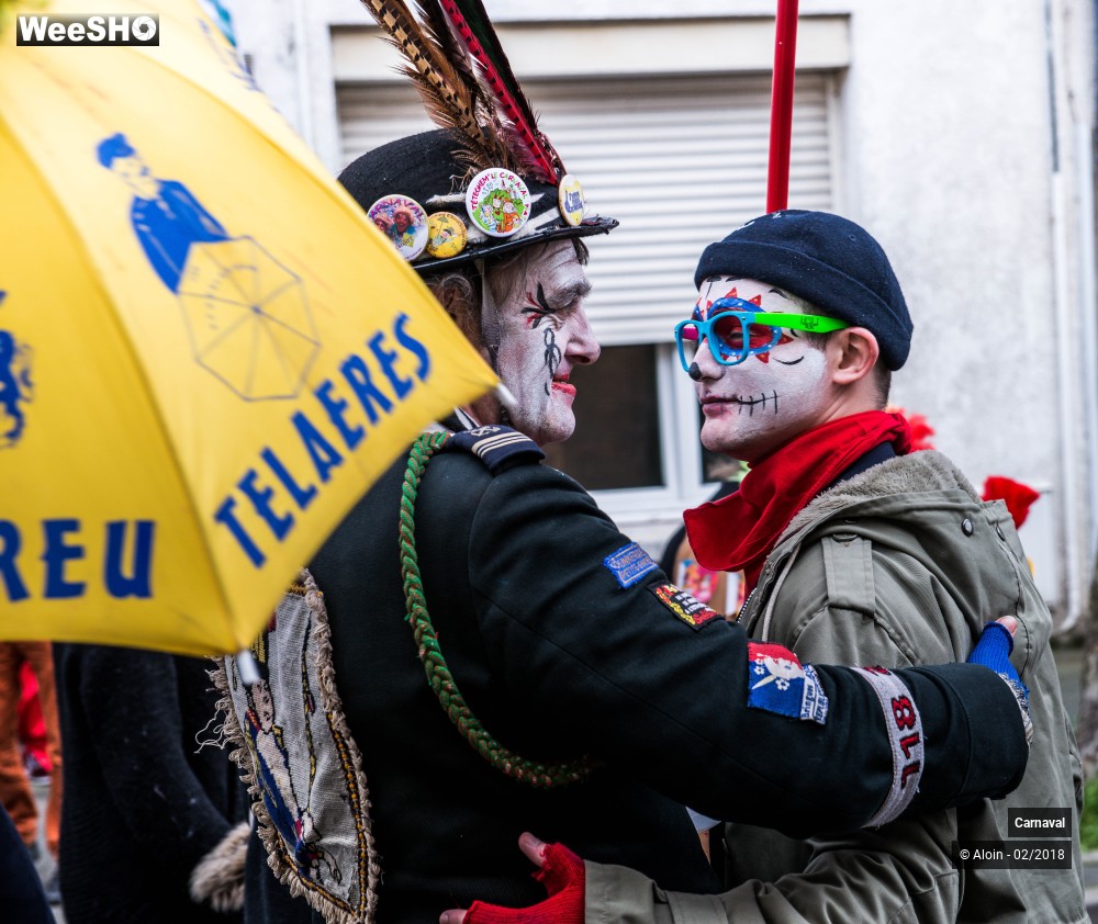 9/34 photos du spectacle Carnaval de Dunkerque 2018
