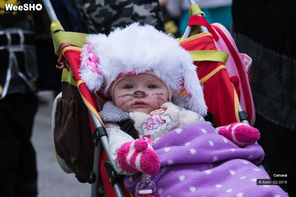 10/34 photos du spectacle Carnaval de Dunkerque 2018