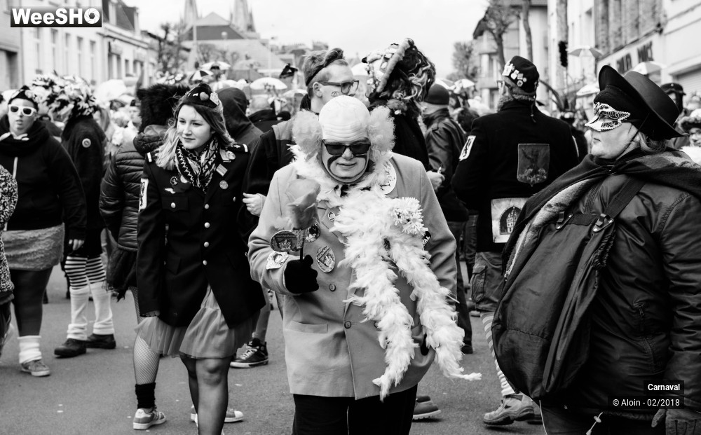 13/34 photos du spectacle Carnaval de Dunkerque 2018