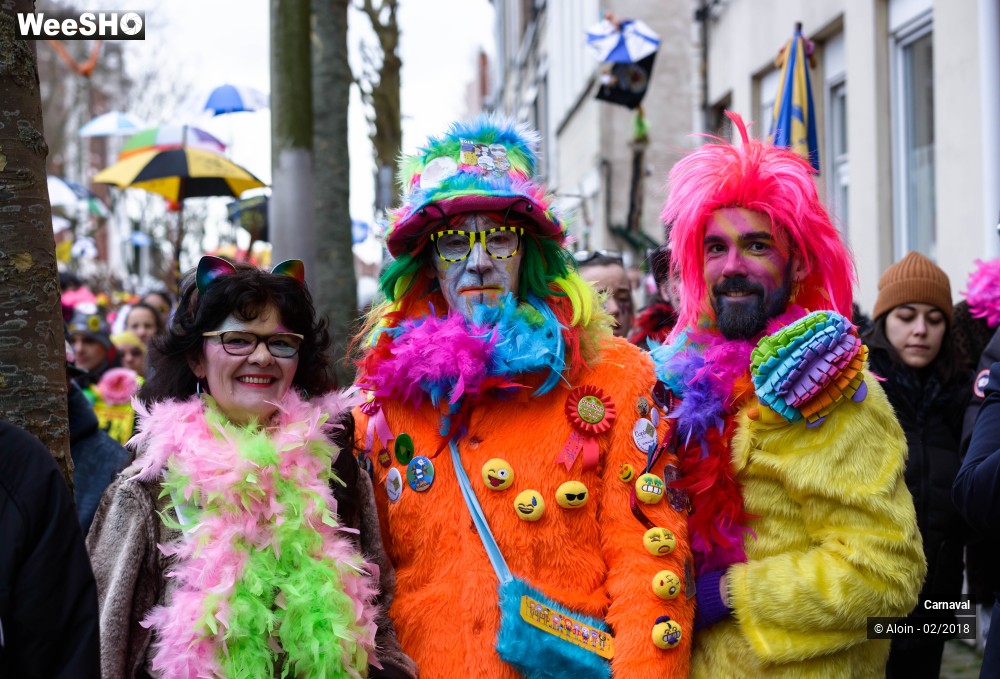 14/34 photos du spectacle Carnaval de Dunkerque 2018