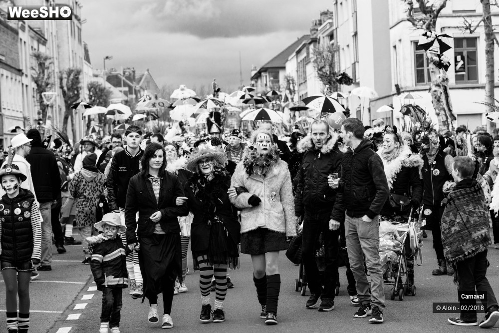15/34 photos du spectacle Carnaval de Dunkerque 2018