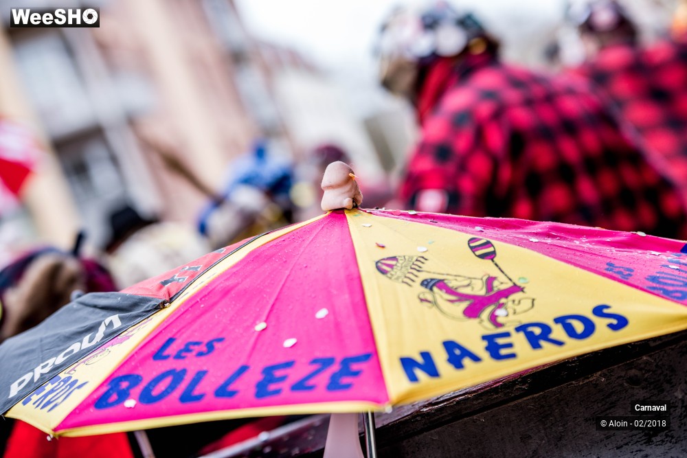 17/34 photos du spectacle Carnaval de Dunkerque 2018
