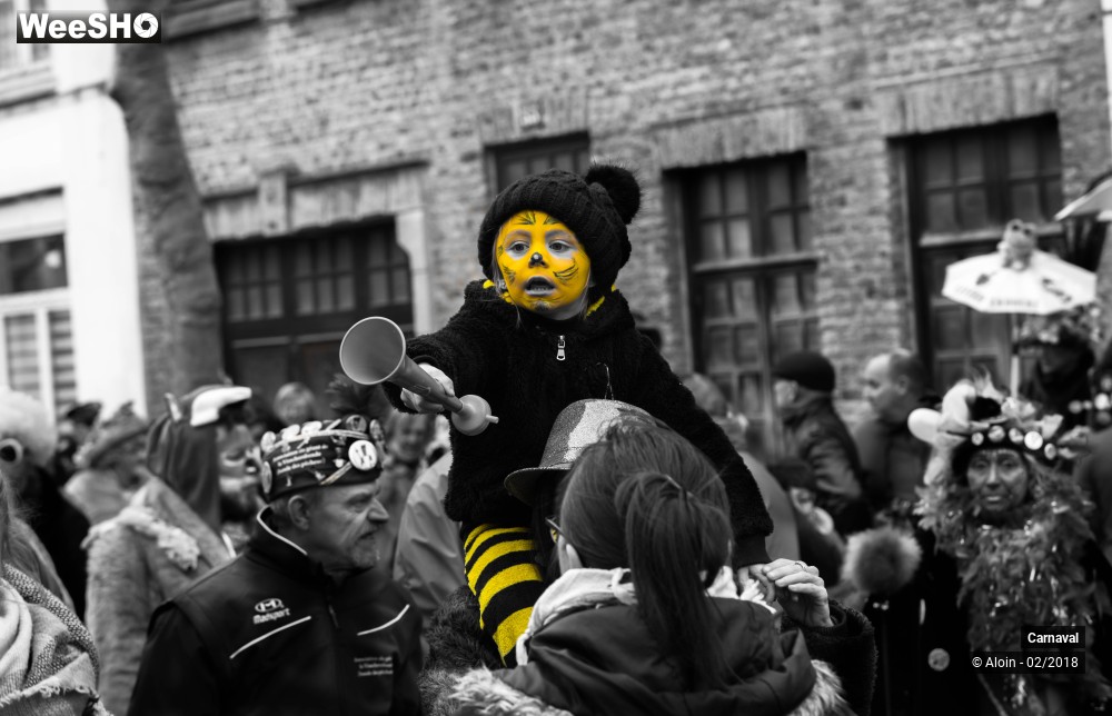 18/34 photos du spectacle Carnaval de Dunkerque 2018