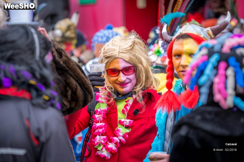 19/34 photos du spectacle Carnaval de Dunkerque 2018