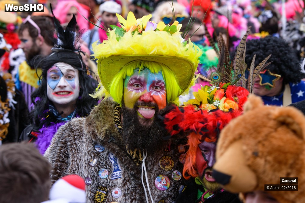 20/34 photos du spectacle Carnaval de Dunkerque 2018