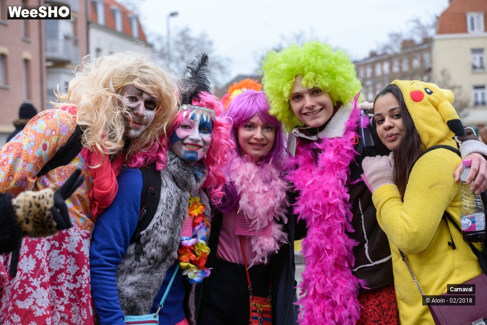 21/34 photos du spectacle Carnaval de Dunkerque 2018