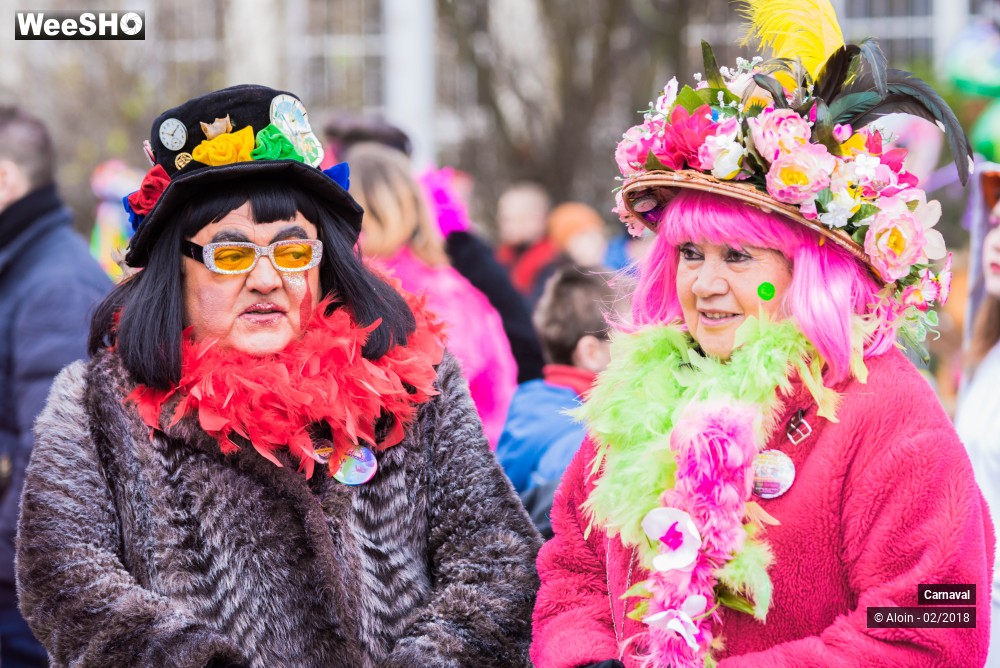 22/34 photos du spectacle Carnaval de Dunkerque 2018